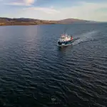 เรือสำรวจ สำหรับขาย