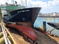 Ro-Ro ship สำหรับขาย