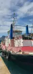 เรือโยง สำหรับขาย