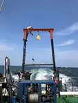 เรือทำงาน สำหรับขาย