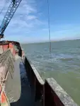 เรือขุด สำหรับขาย