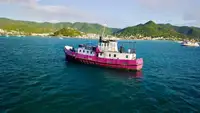 General Cargo/Multi-purpose สำหรับขาย