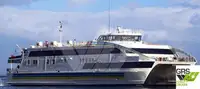 เรือบรรทุกสินค้าแบบ Ro-Ro สำหรับขาย