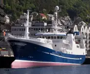 Purse seiner สำหรับขาย