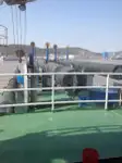 เรือขุด สำหรับขาย