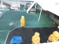 เรือลากอวน สำหรับขาย