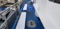 เรือสองลำ (Catamaran) สำหรับขาย