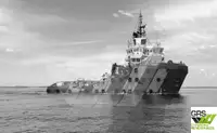เรือลาก สำหรับขาย