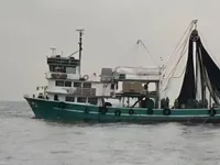 เรือลากอวนจับปลา สำหรับขาย