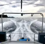 เรือวิจัย สำหรับขาย