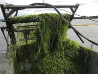 เรือบรรทุกน้ำทิ้งจากห้องเครื่อง สำหรับขาย
