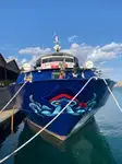 เรือสำราญ สำหรับขาย