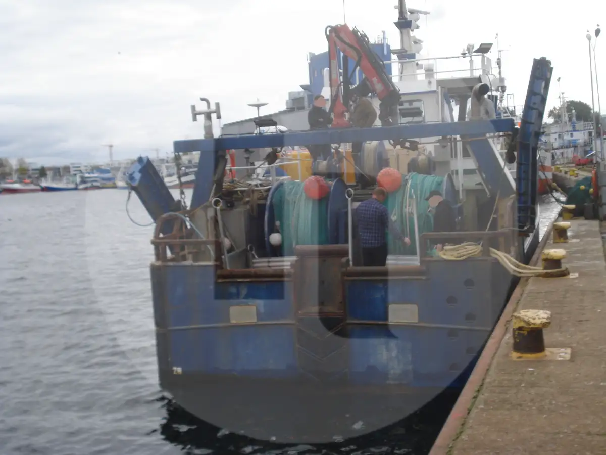 เรือบรรทุกปลาเป็น สำหรับขาย