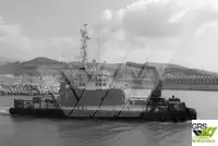 เรือทำงาน สำหรับขาย