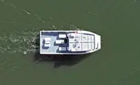 เรือสองลำ (Catamaran) สำหรับขาย