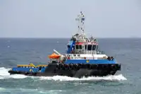 เรือโยง สำหรับขาย