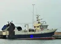 เรือสำหรับแปรรูปและขนส่งปลา สำหรับขาย