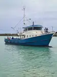 เรือลากอวน สำหรับขาย