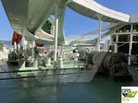 เรือบรรทุกสินค้าแบบ Ro-Ro สำหรับขาย