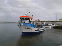 เรือลาก สำหรับขาย