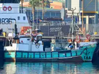 Purse seiner สำหรับขาย