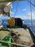Purse seiner สำหรับขาย