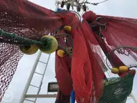 เรือลากอวน สำหรับขาย