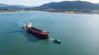 เรือลาก สำหรับขาย
