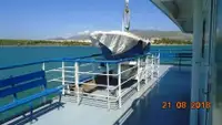 Ro-Ro ship สำหรับขาย