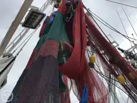 เรือลากอวน สำหรับขาย