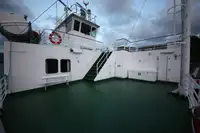เรือบรรทุกสินค้าแบบ Ro-Ro สำหรับขาย