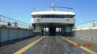 Ro-Ro ship สำหรับขาย