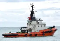 เรือลาก สำหรับขาย