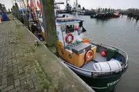 เรือลากอวน สำหรับขาย