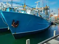 Trawler สำหรับขาย