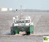 เรือบริการสำหรับฟาร์มกังหันลม สำหรับขาย