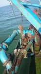 เรือขุด สำหรับขาย