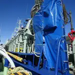 Purse seiner สำหรับขาย