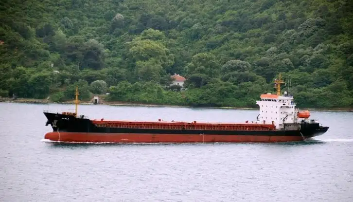 เรือบรรทุกสินค้าทั่วไป (Bulk Carrier) สำหรับขาย