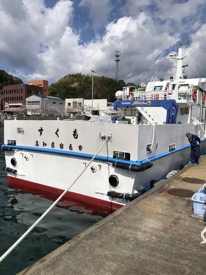 เรือบรรทุกสินค้าทั่วไป (Bulk Carrier) สำหรับขาย