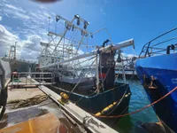 เรือลากอวน สำหรับขาย