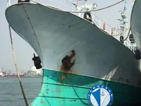 เรือลากอวนแบบ Longliner สำหรับขาย