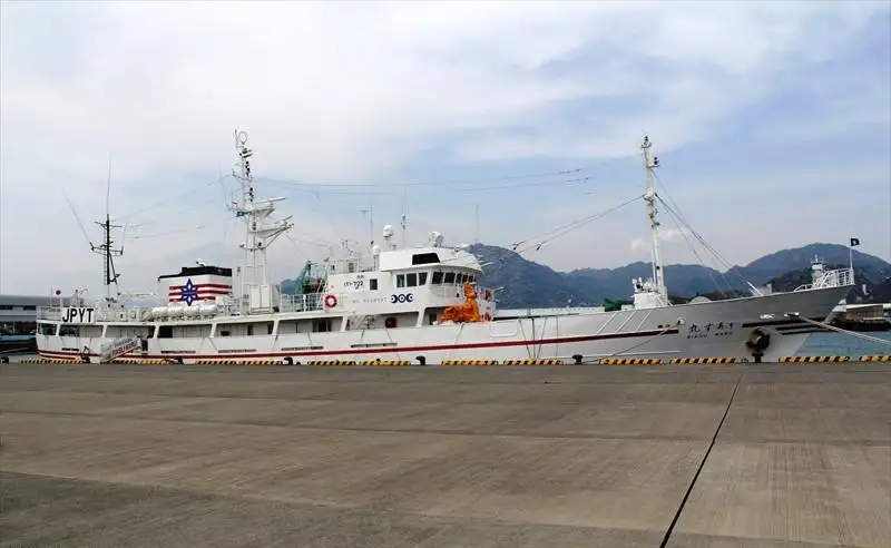 เรือสำรวจ สำหรับขาย