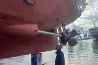 เรือเฟอร์รี่ สำหรับขาย