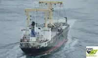เรือบรรทุกสินค้าทั่วไป (Bulk Carrier) สำหรับขาย