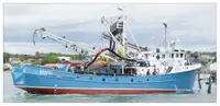 เรือลากอวนจับปลา สำหรับขาย