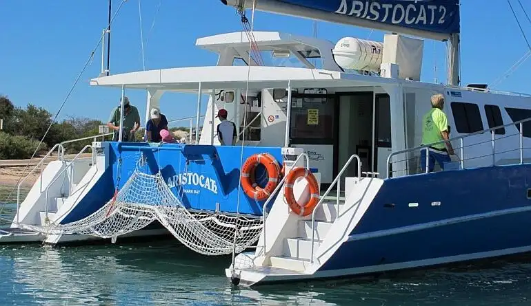 เรือสองลำ (Catamaran) สำหรับขาย