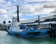 เรือลาก สำหรับขาย