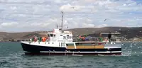 Purse seiner สำหรับขาย