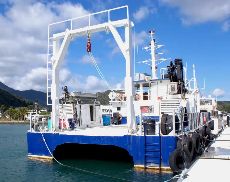 เรือสองลำ (Catamaran) สำหรับขาย